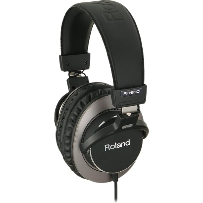 Roland RH-300 Stereo Headphones